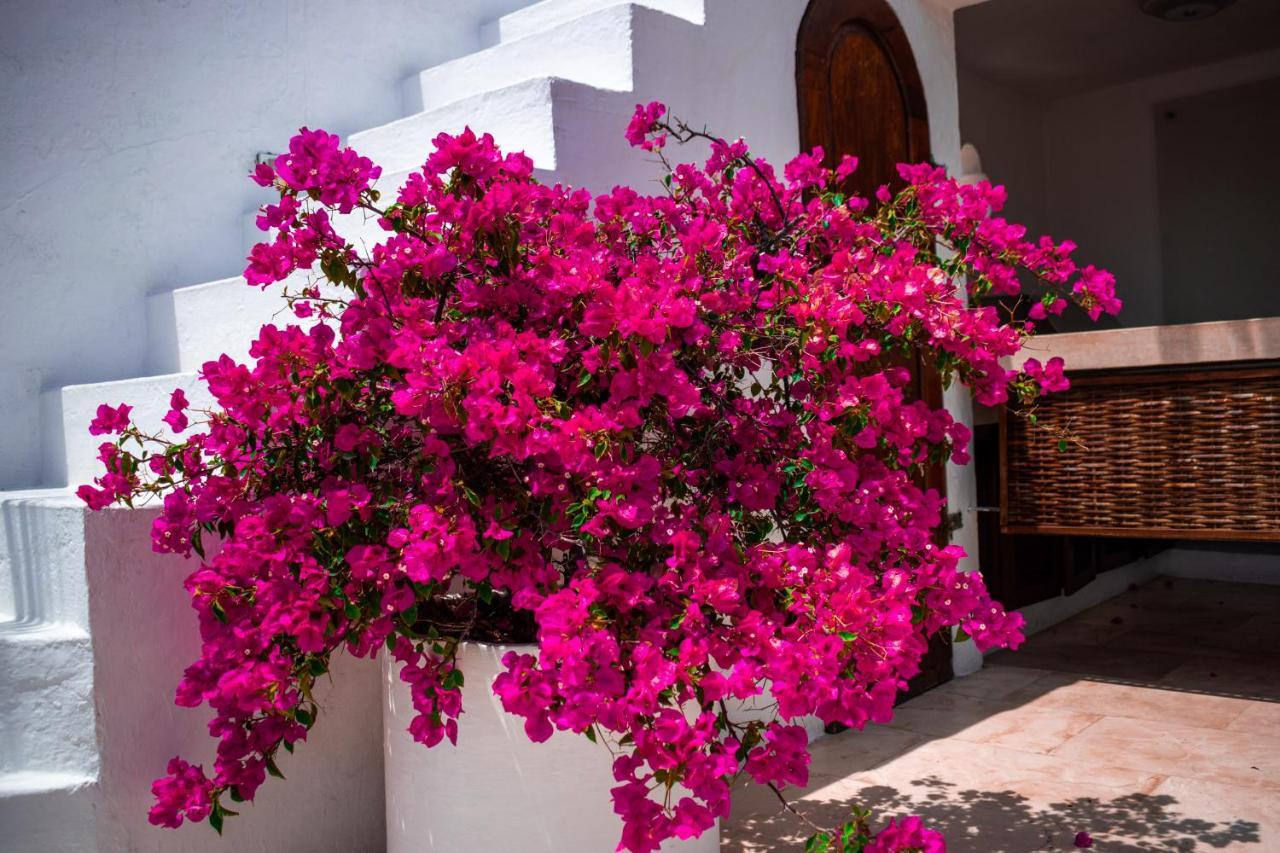 Hotel Aguamarina Boutique (Adults Only) Cartagena Exterior foto
